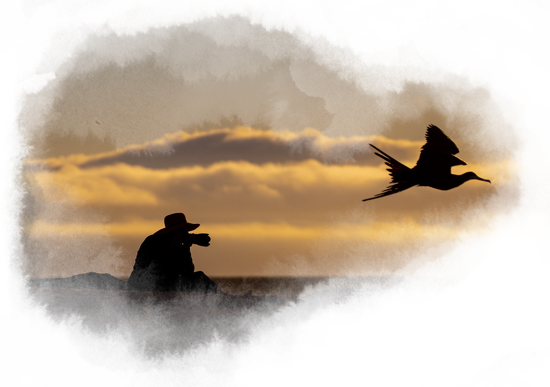 Image of a man sitting on a rock taking a photo of a great frigatebird flying through the sunset sky.