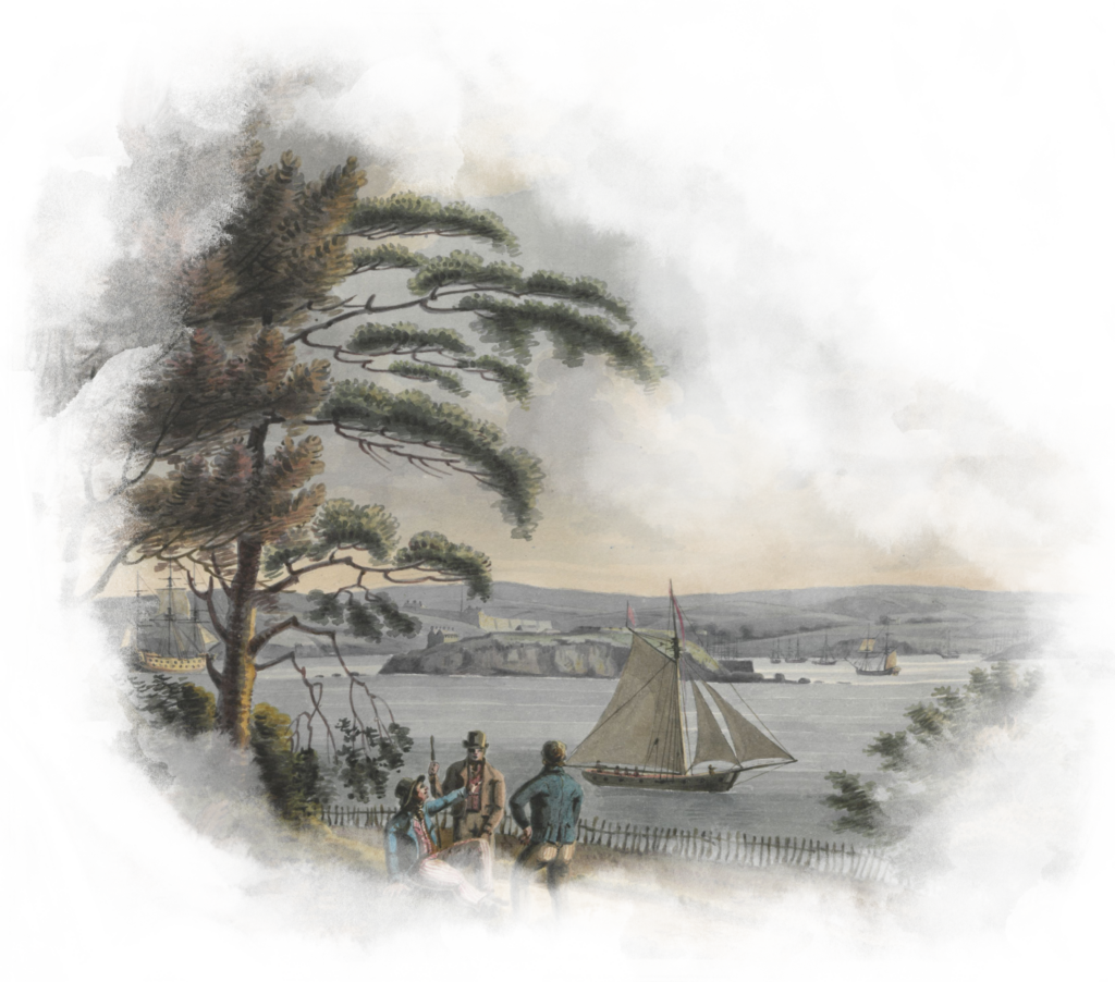Illustration of three voyagers chatting on land looking out towards the ocean and surrounding islands. A ship passes in the distance.