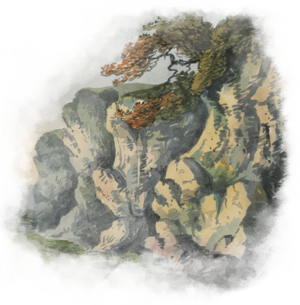 Illustration of an escarpment with large green foliage.