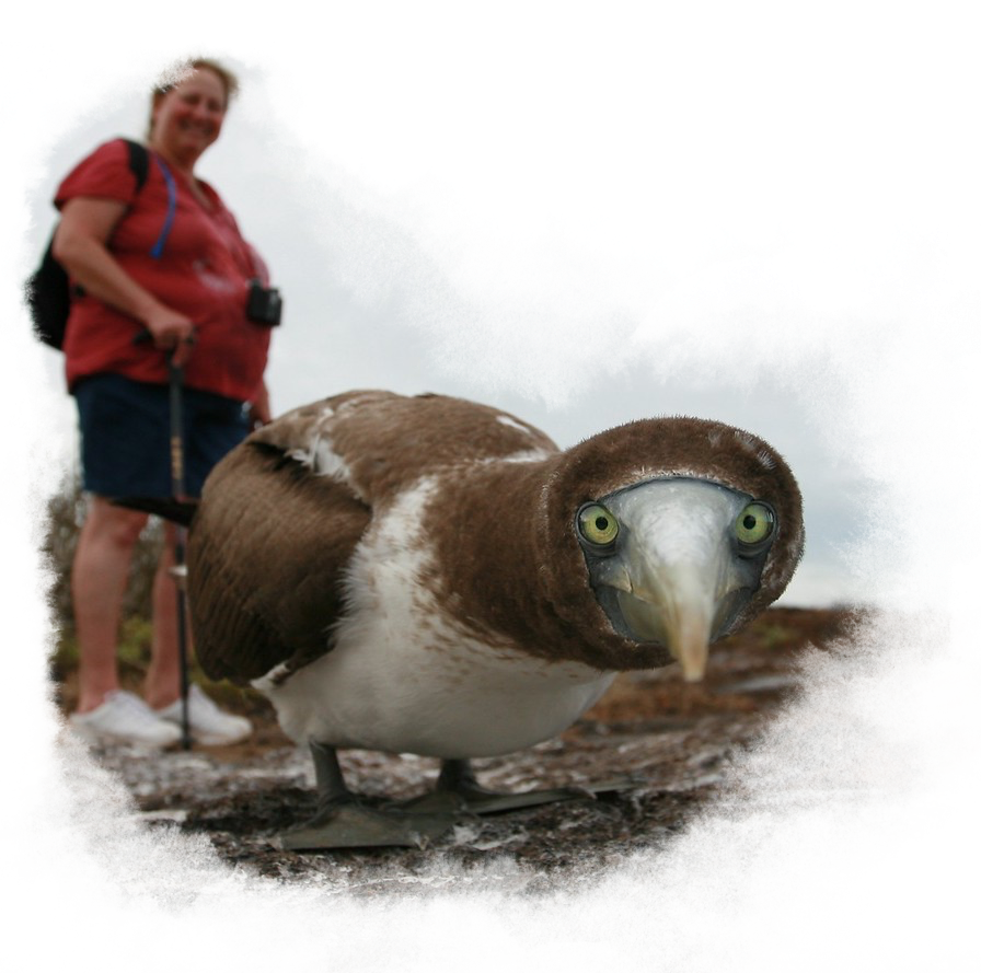 Close up of a bird looking right into the camera lens while a woman smiles in the background.