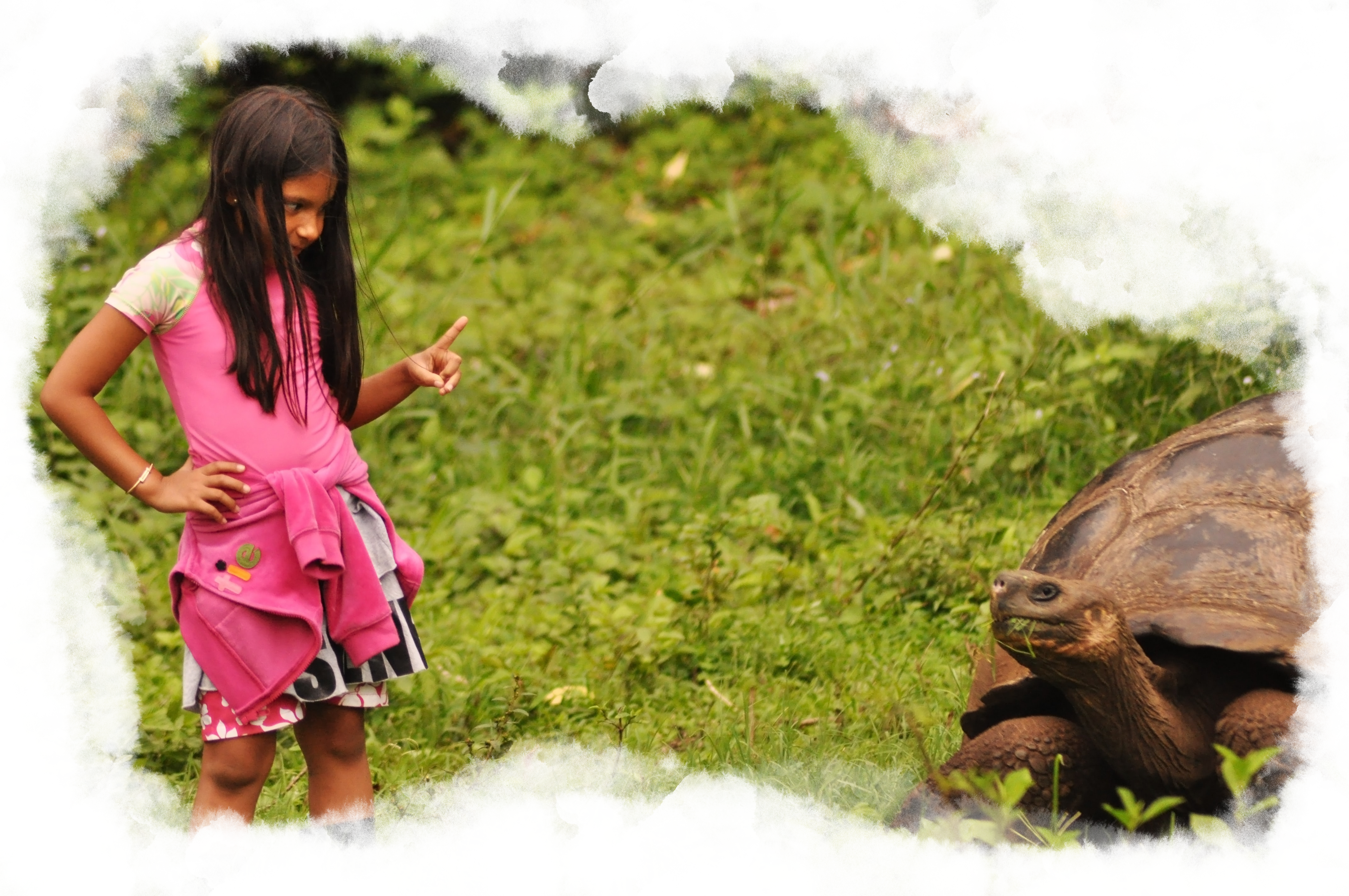 A young girl interacting with a tortoise.