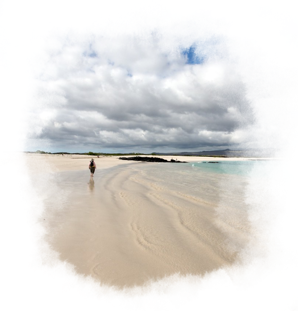 A person is walking along a sandy beach.